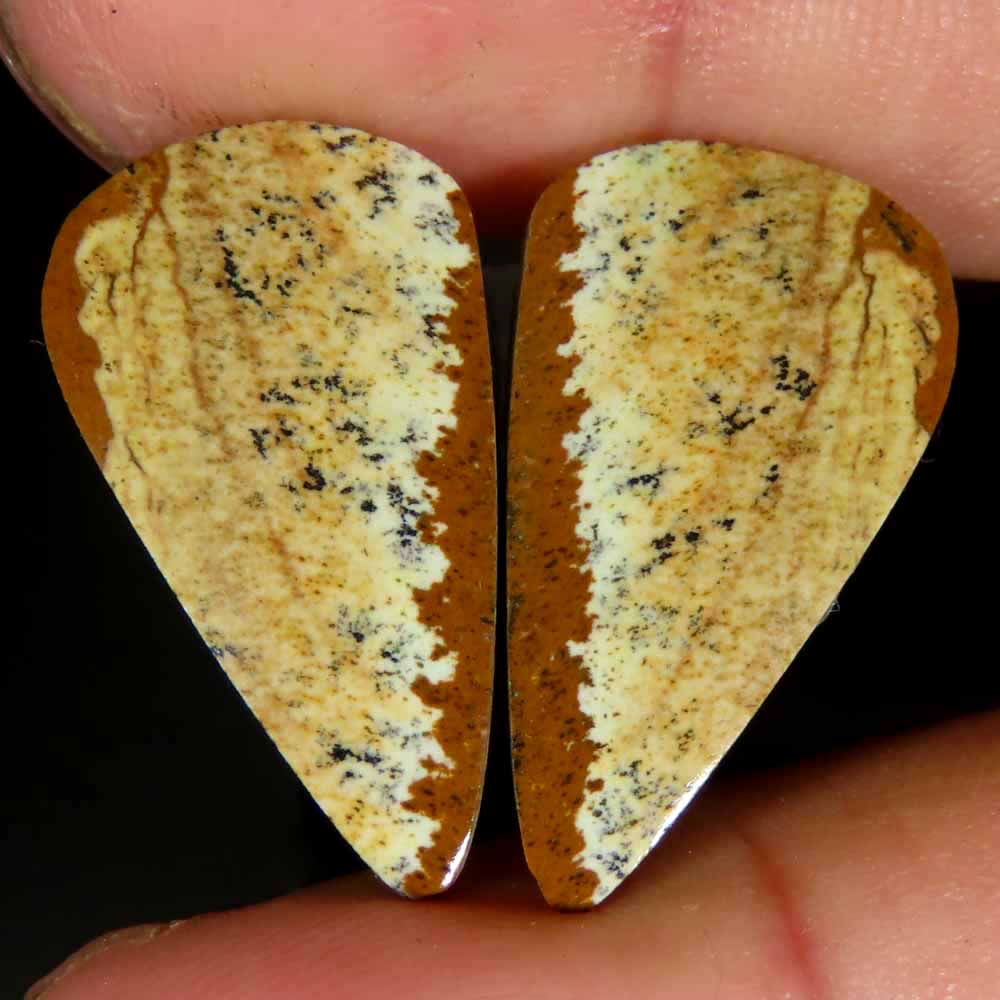 20.50Cts.100%Natural Super Picture Jasper Pair Pear Cab 13x24x4mm Top Gemstone