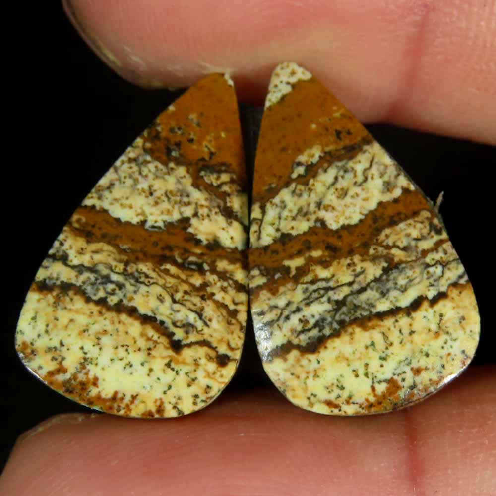 12.90Cts.100%Natural Super Picture Jasper Pair Pear Cab 12x20x3mm Top Gemstone