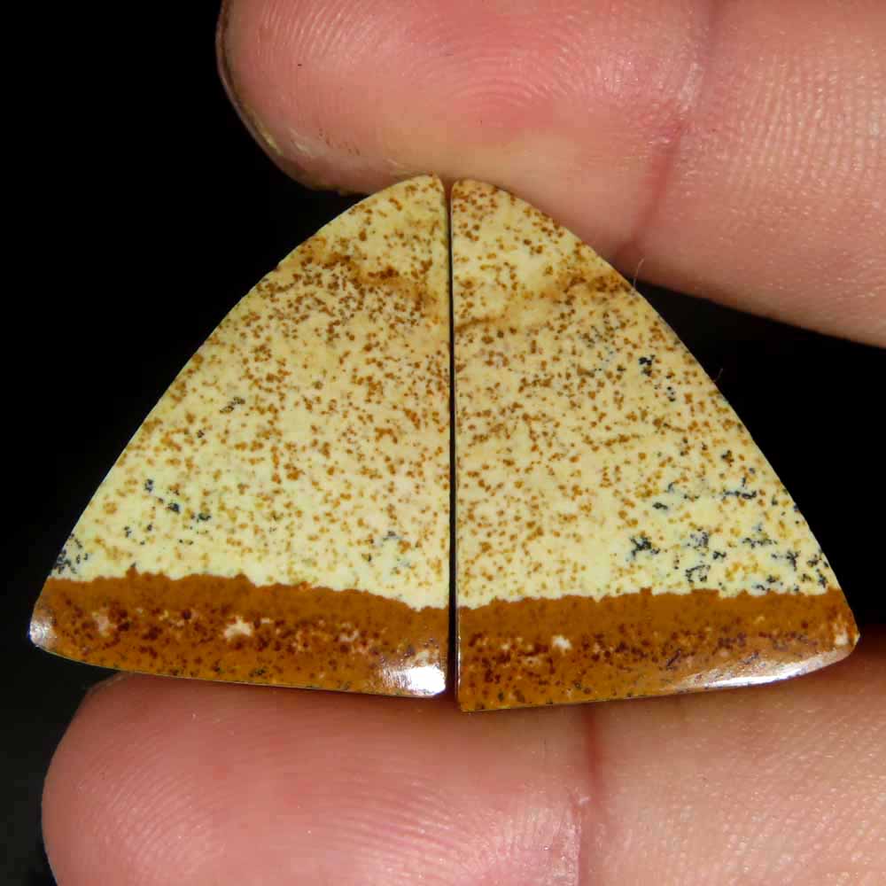 23.30Cts.100%Natural Designer Picture Jasper Pair Fancy Cab 17x23x4mm Gemstone