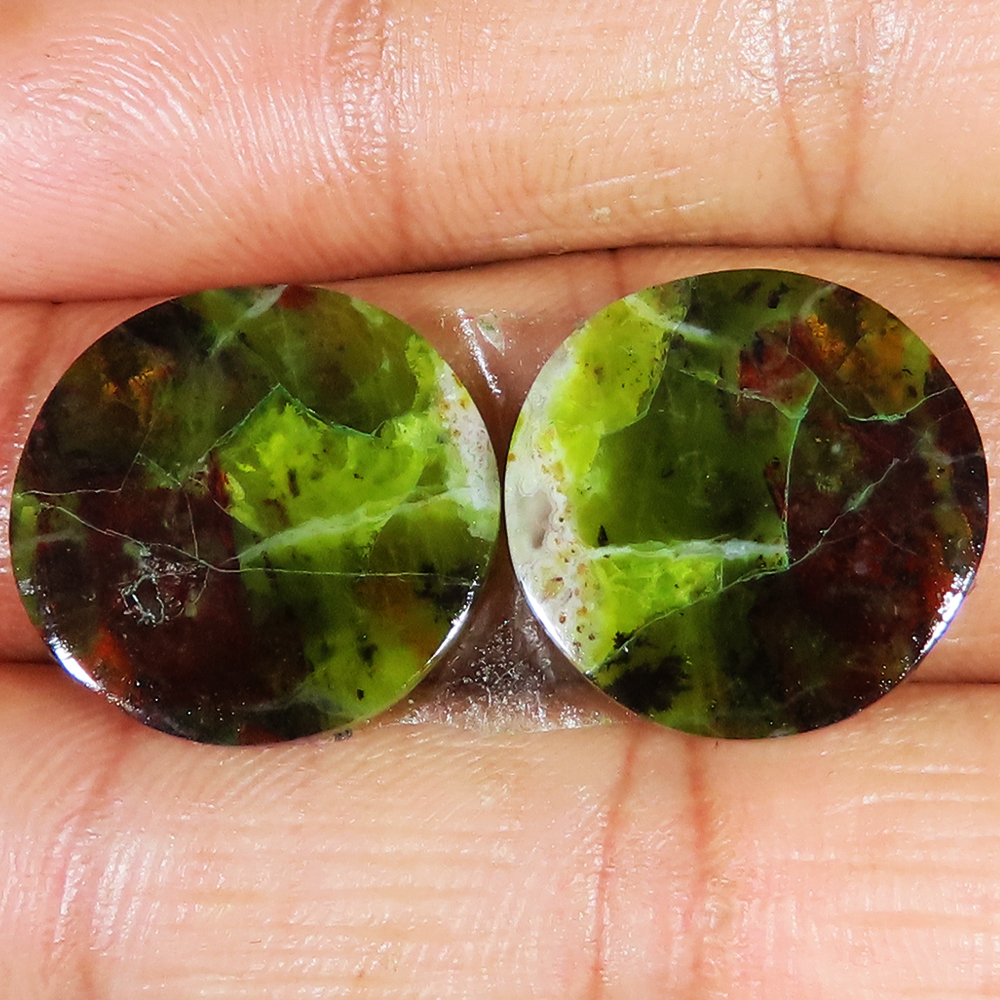 Natürliches Grün Opal Paar Rund Cabochon Lose Edelstein 24.50 Karat (19x19x03 MM - Bild 1 von 7