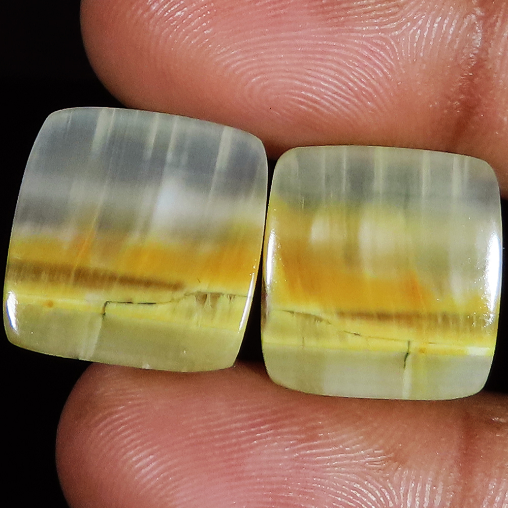 20.95 Ct 100% Natural Tiger Bee Cushion Cabochon Loose Gemstone 15x16x3 mm LP377